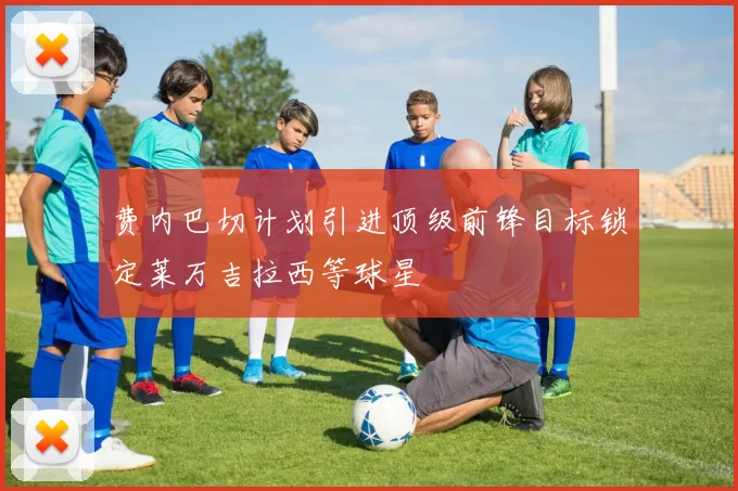 费内巴切计划引进顶级前锋目标锁定莱万吉拉西等球星