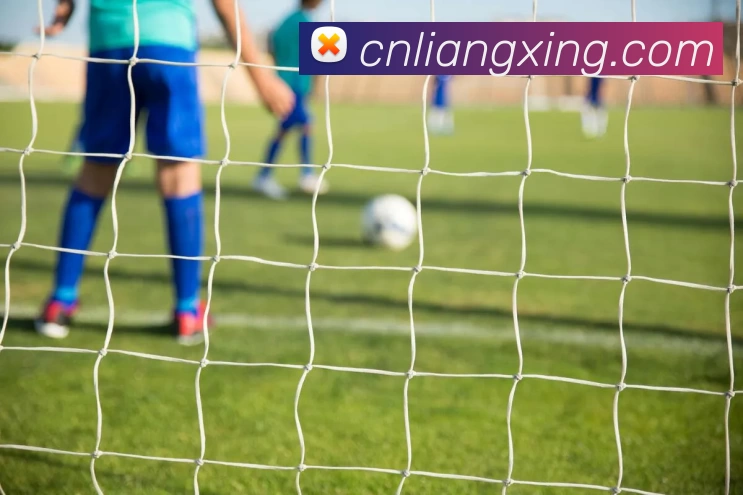 国际认证